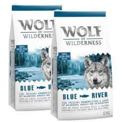 Wolf of Wilderness -säästöpakkaus 2 x 12 kg