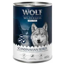 Wolf of Wilderness 