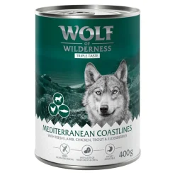 Wolf of Wilderness 