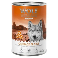 Wolf of Wilderness 