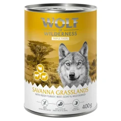 Wolf of Wilderness 
