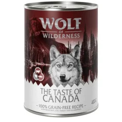 Wolf of Wilderness 