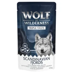 Wolf of Wilderness 
