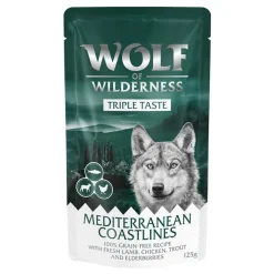 Wolf of Wilderness 