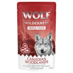 Wolf of Wilderness 