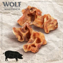Wolf of Wilderness 