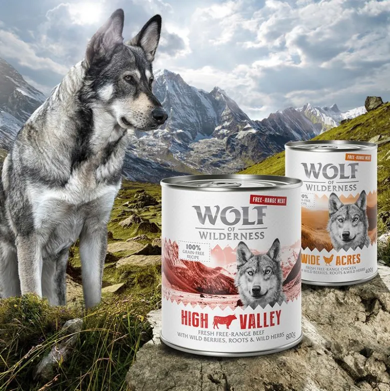 6 x 400 g Wolf of Wilderness -lajitelmat