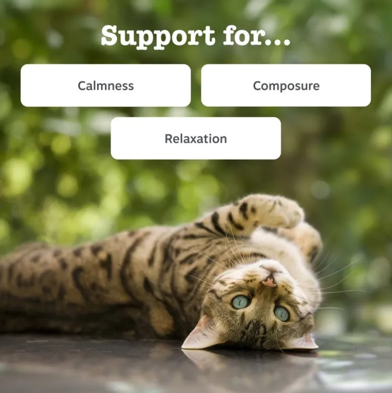 Zesty Paws Cat Calming Paste
