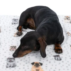 zooplus Basics Dogs & Dots -fleecepeitto