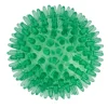 zooplus basics -piikkipallosetti