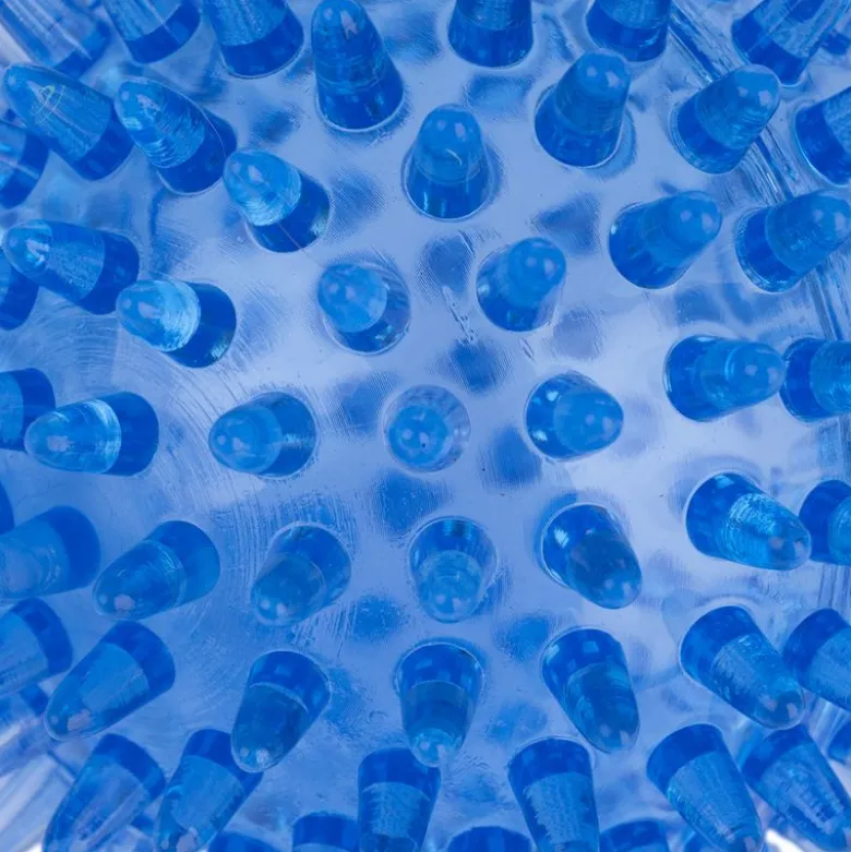 zooplus basics -piikkipallosetti
