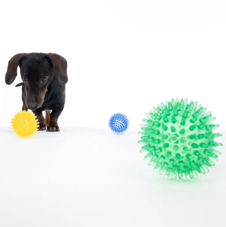 zooplus basics -piikkipallosetti