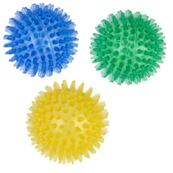 zooplus basics -piikkipallosetti